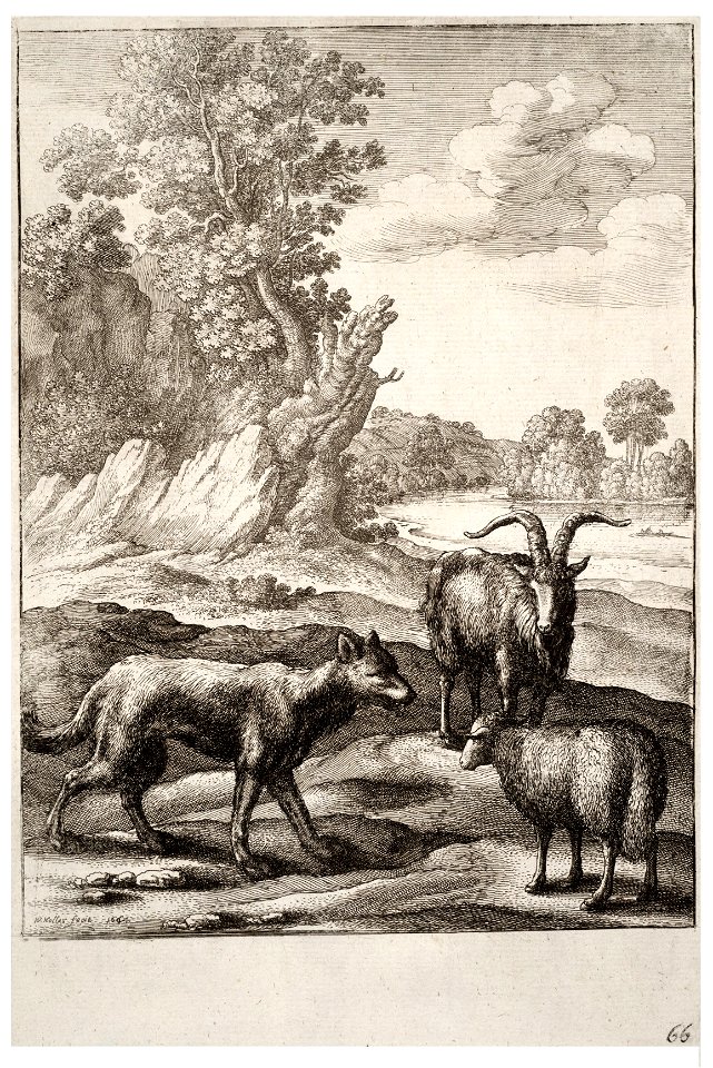 Wenceslas Hollar - The wolf and the lamb (State 1)