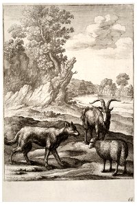 Wenceslas Hollar - The wolf and the lamb (State 1)