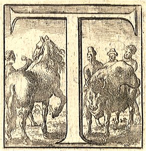 Wenceslas Hollar - T
