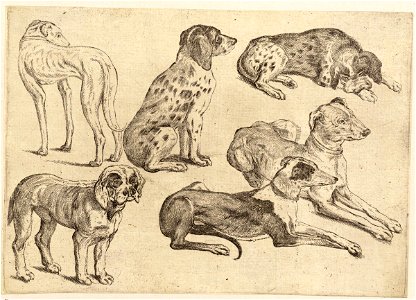 Wenceslas Hollar - Six hounds 3. Free illustration for personal and commercial use.