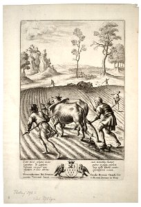 Wenceslas Hollar - The ploughman (State 2)