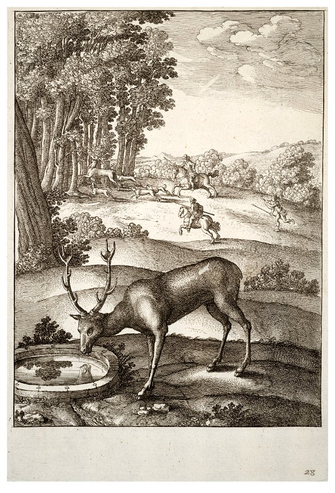 Wenceslas Hollar - The stag (State 2) 2