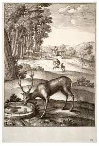 Wenceslas Hollar - The stag (State 2) 2