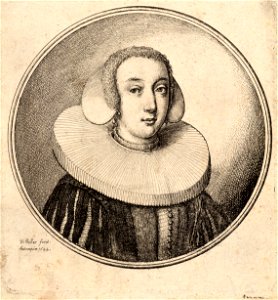 Wenceslas Hollar - Woman with a coif and pleated ruff (State 2). Free illustration for personal and commercial use.