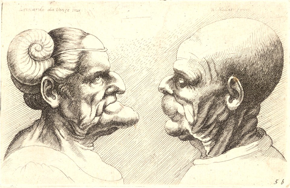 Wenceslas Hollar - Two deformed heads (State 2) 4