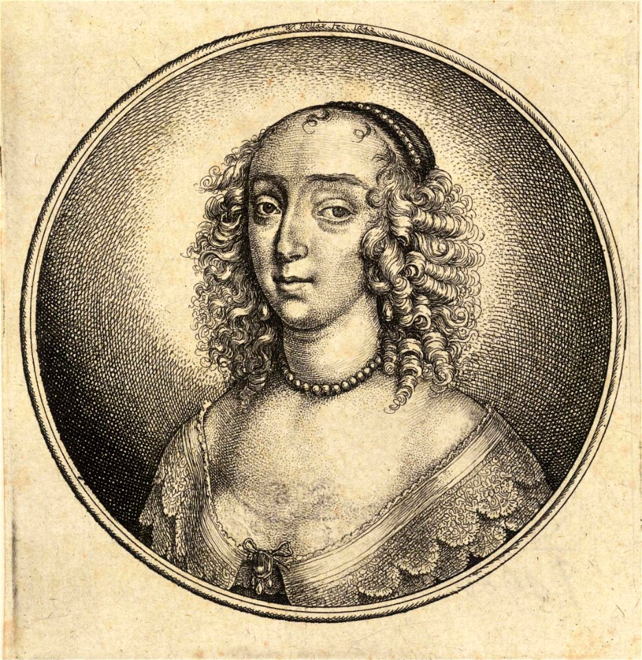 Wenceslas Hollar - Woman with two curls on her forehead