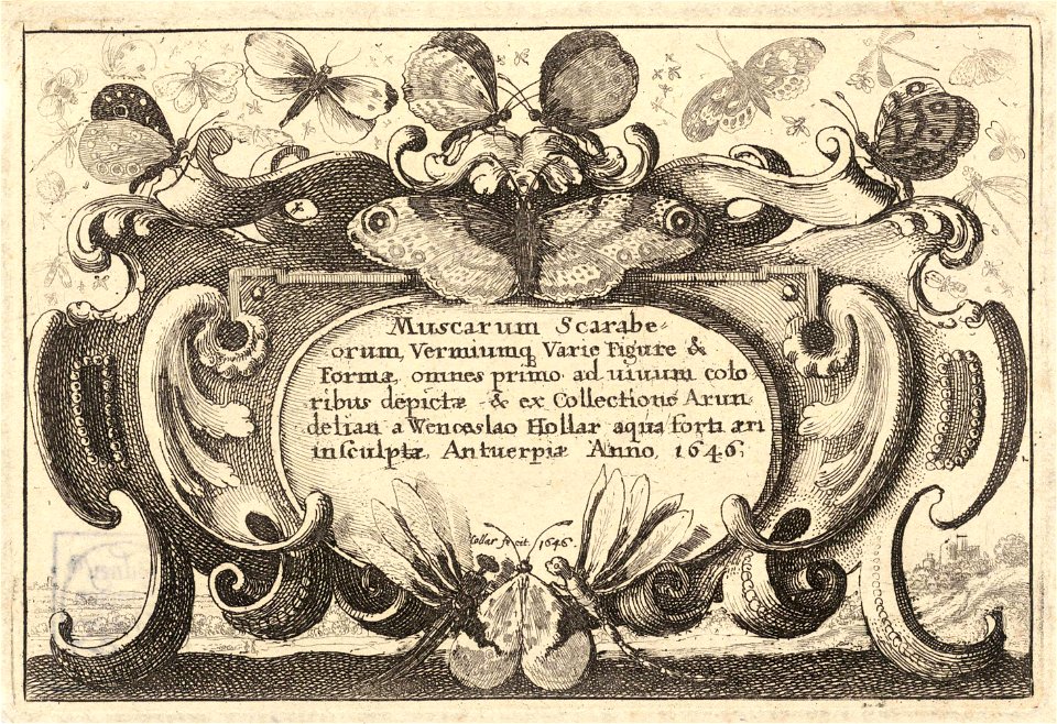 Wenceslas Hollar - Title (State 1) 3