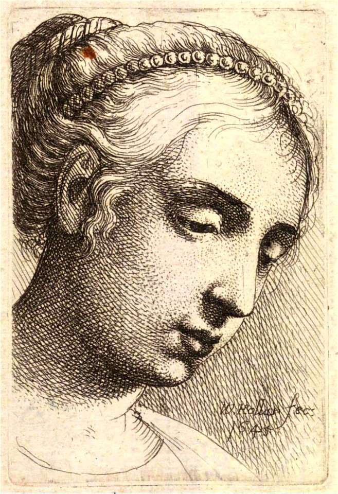 Wenceslas Hollar - Woman with a rope of pearls in her hair