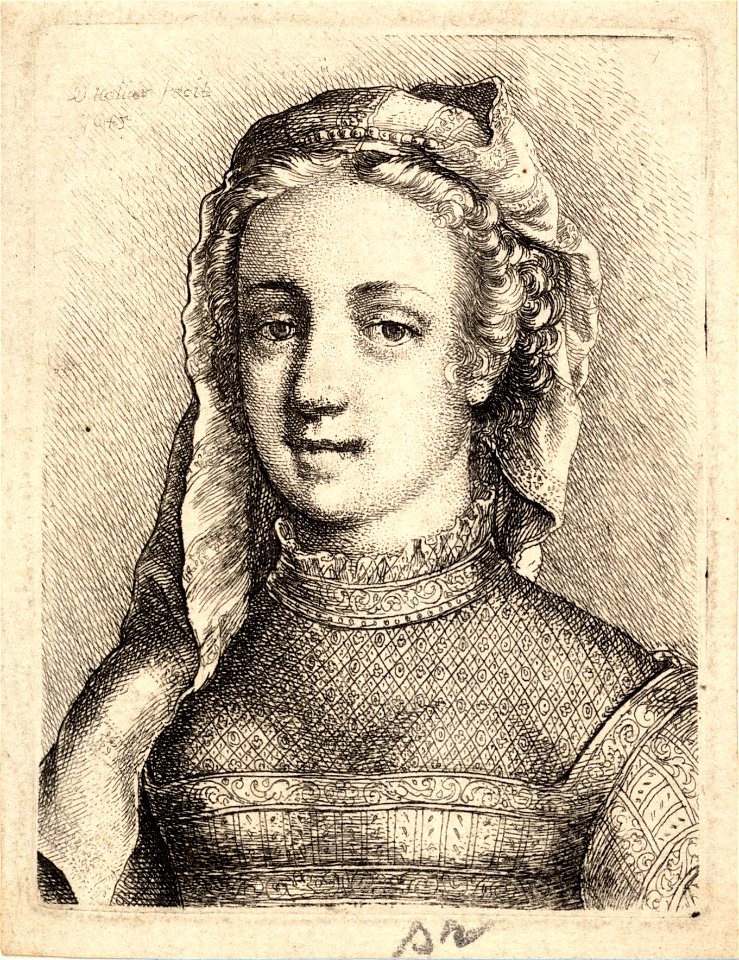 Wenceslas Hollar - Woman with diaphanous neckwear