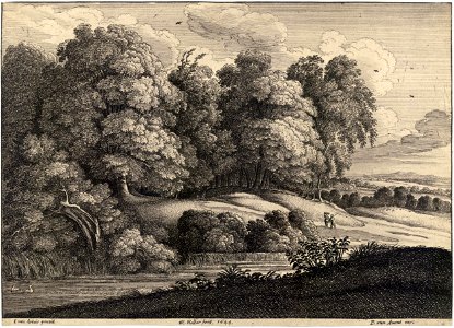 Wenceslas Hollar - The edge of the wood (Jacques van Artois) (State 1). Free illustration for personal and commercial use.