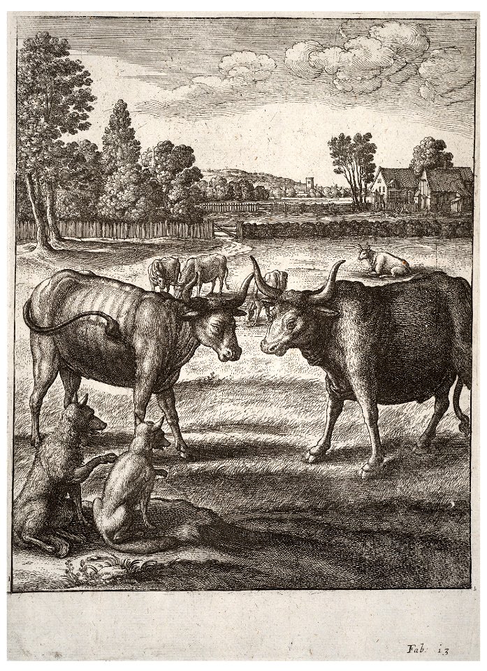 Wenceslas Hollar - The ox and the steer (State 2)