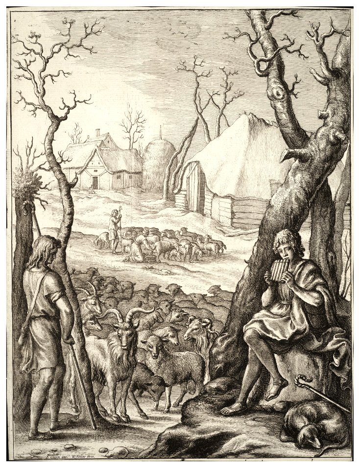 Wenceslas Hollar - Stock breeding