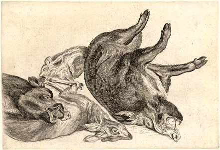 Wenceslas Hollar - Three boars and a deer. Free illustration for personal and commercial use.