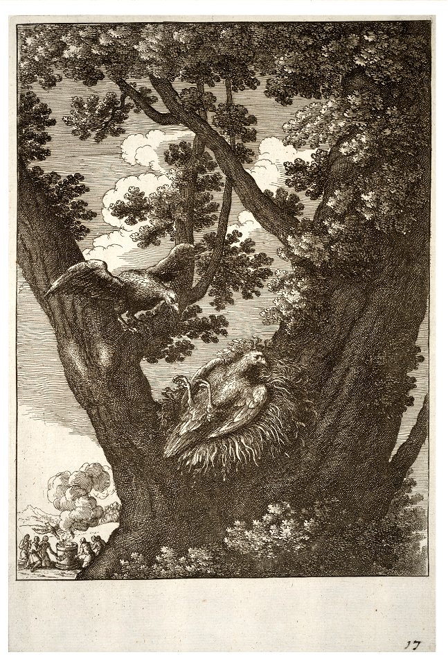 Wenceslas Hollar - The sick kite and its mother