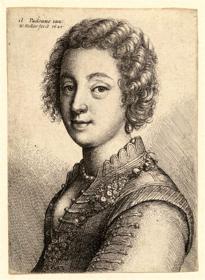 Wenceslas Hollar - Young woman with braided jacket, after Padovano