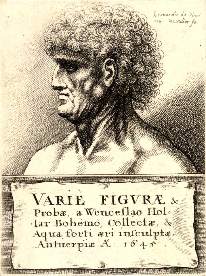 Wenceslas Hollar - Title page cartouche to A catalogue of the drawings of Leonardo (1645) (State 1)