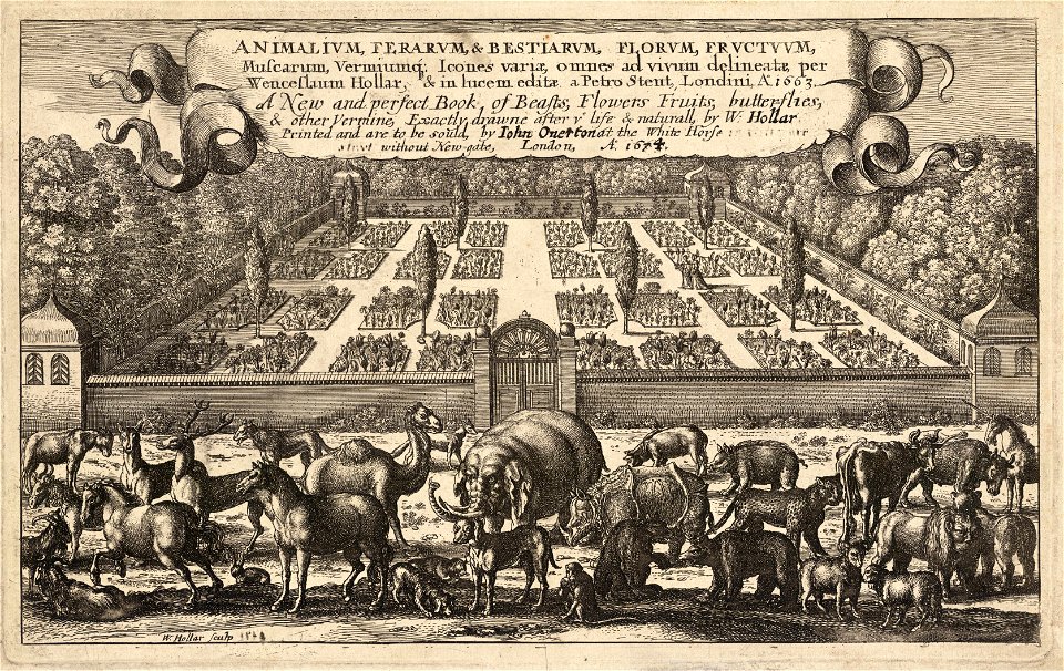 Wenceslas Hollar - Title page (State 3)