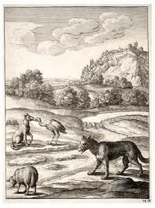 Wenceslas Hollar - The wolf, the lamb, and the crane 2