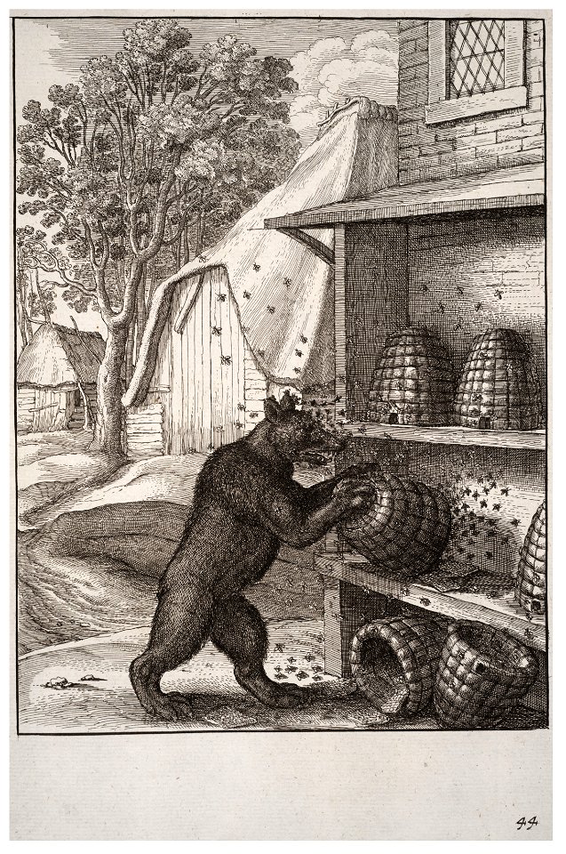 Wenceslas Hollar - The bear and the honey