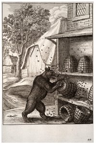 Wenceslas Hollar - The bear and the honey