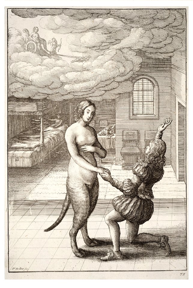 Wenceslas Hollar - The young man and the cat bride