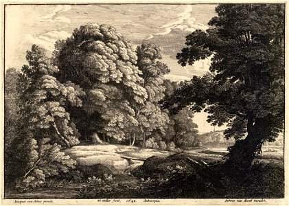Wenceslas Hollar - The bridge over the waterfall (Jacques van Artois) (State 1)