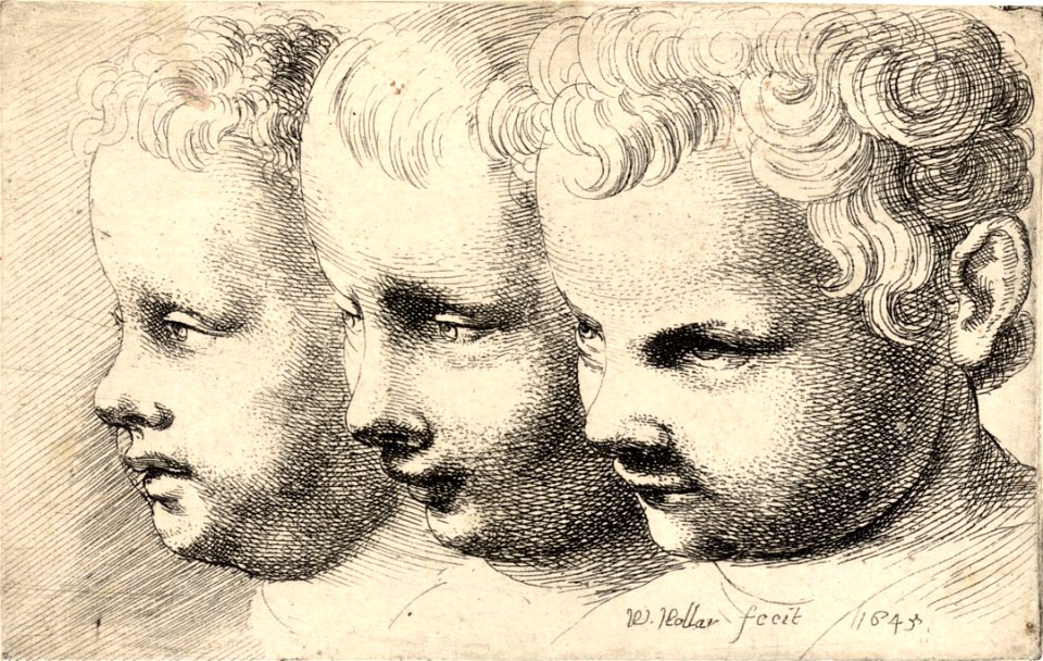 Wenceslas Hollar - Three children's heads