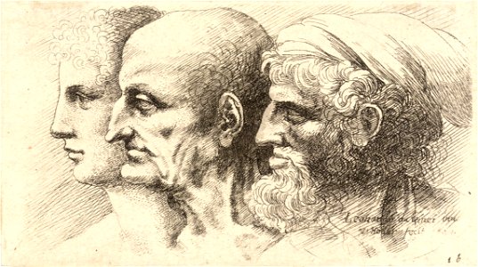 Wenceslas Hollar - Three male heads in profile (State 2)