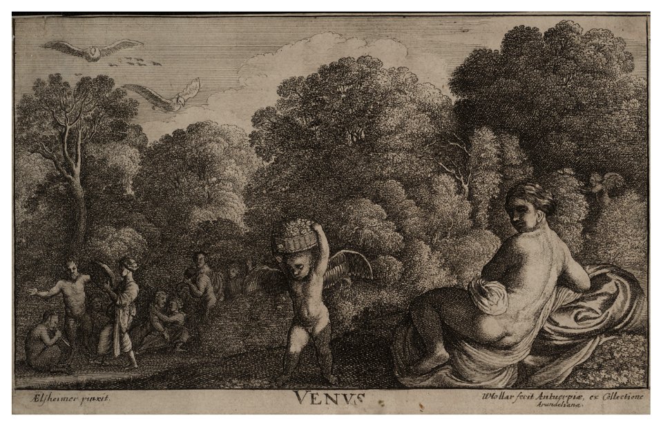 Wenceslas Hollar - Venus