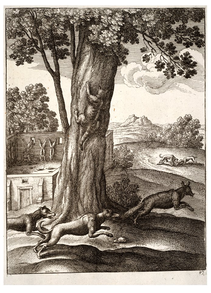 Wenceslas Hollar - The fox and the cat