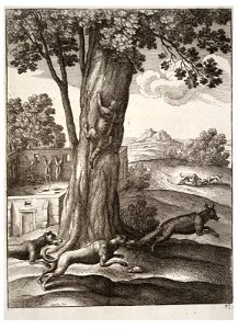 Wenceslas Hollar - The fox and the cat