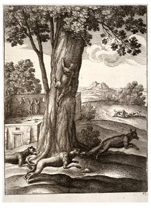 Wenceslas Hollar - The fox and the cat. Free illustration for personal and commercial use.