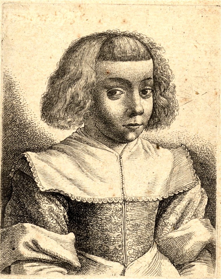 Wenceslas Hollar - Young girl with turned-back sleeves (State 1)