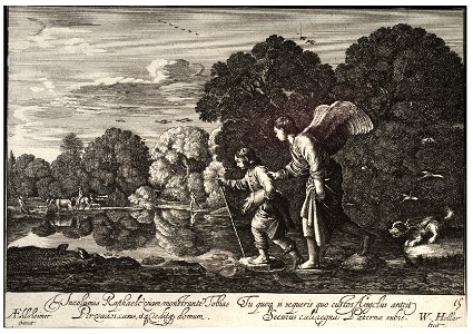 Wenceslas Hollar - Tobias and the Angel (State 1). Free illustration for personal and commercial use.