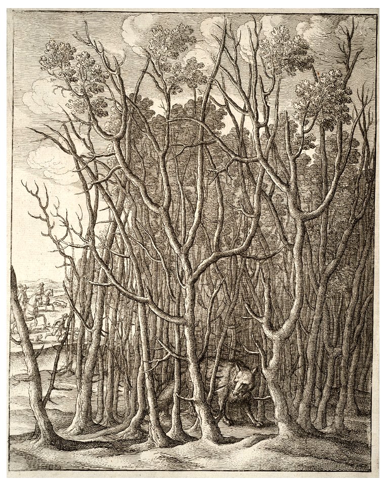 Wenceslas Hollar - The fox and the thorn bush (State 1)