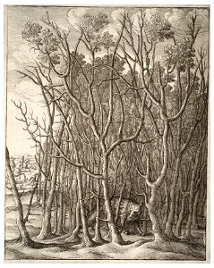 Wenceslas Hollar - The fox and the thorn bush (State 1)