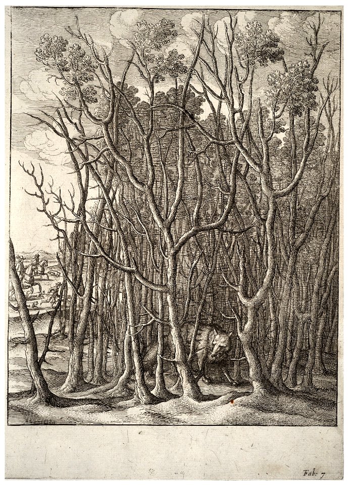 Wenceslas Hollar - The fox and the thorn bush (State 2)