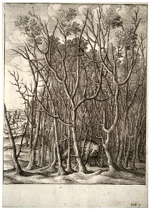 Wenceslas Hollar - The fox and the thorn bush (State 2)