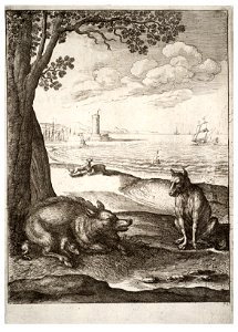 Wenceslas Hollar - The wolf and the sow (State 2)