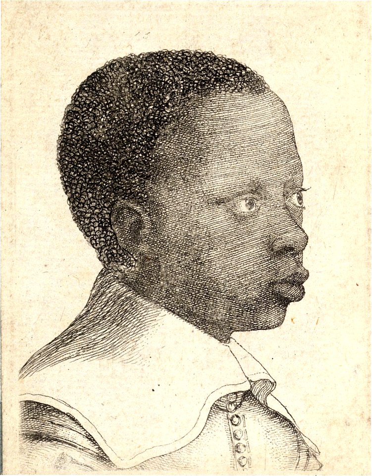 Wenceslas Hollar - Young Negro (State 1)