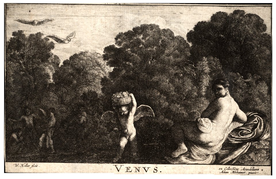Wenceslas Hollar - Venus 2