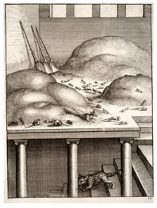 Wenceslas Hollar - The old weasel and the mice 2