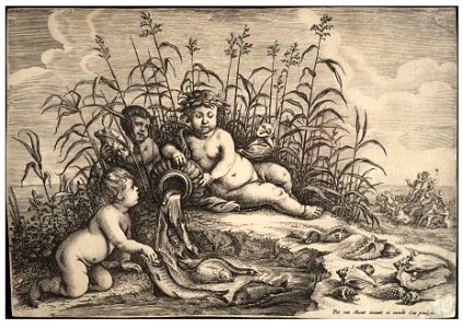 Wenceslas Hollar - Water
