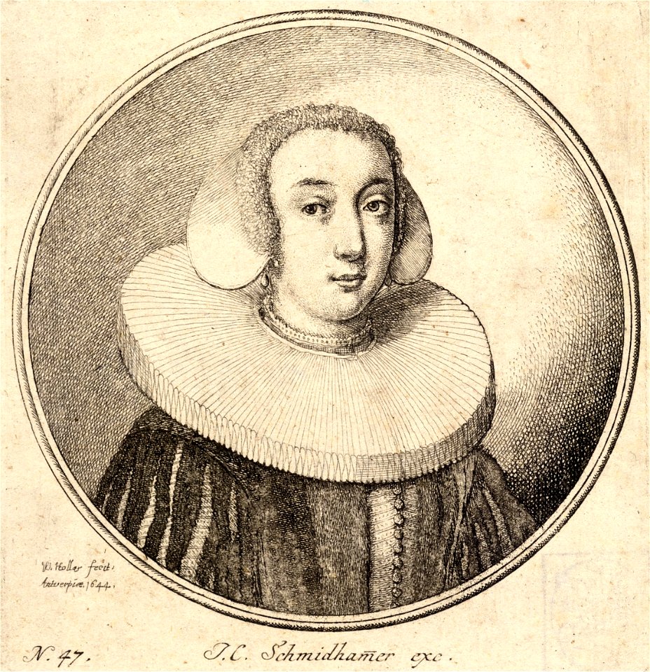 Wenceslas Hollar - Woman with a coif and pleated ruff (State 3)