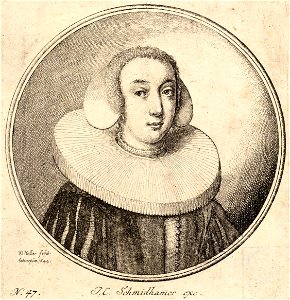 Wenceslas Hollar - Woman with a coif and pleated ruff (State 3)