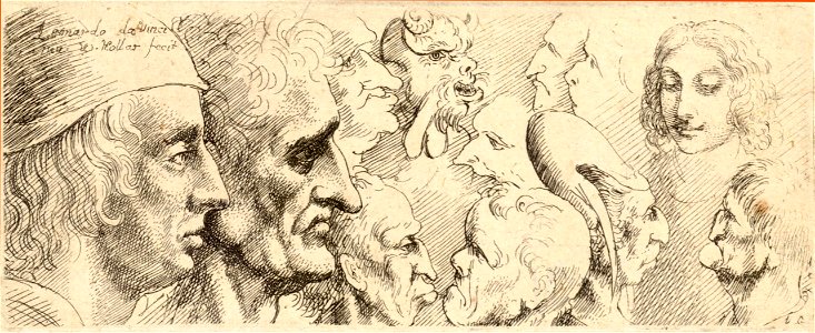 Wenceslas Hollar - Twelve male heads in profile (State 2)