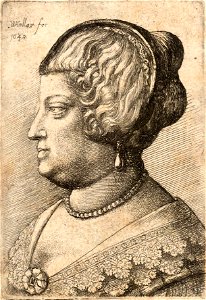 Wenceslas Hollar - Woman with decorated hair-band. Free illustration for personal and commercial use.