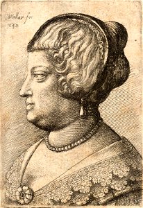 Wenceslas Hollar - Woman with decorated hair-band