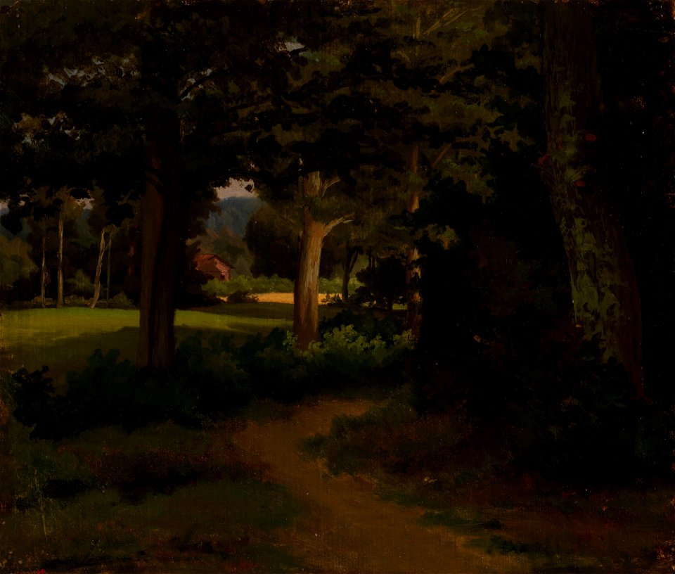 Werner Holmberg - Metsäpolku, maisemaharjoitelma - A I 471-15 - Finnish National Gallery