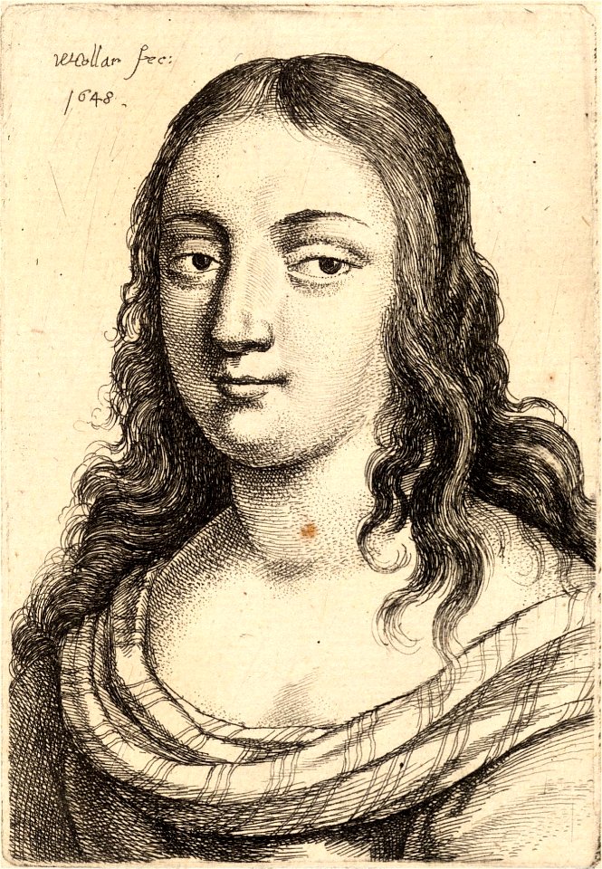 Wenceslas Hollar - Woman with striped shoulder wrap
